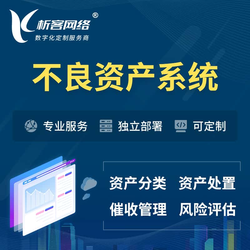 银川不良资产管理系统